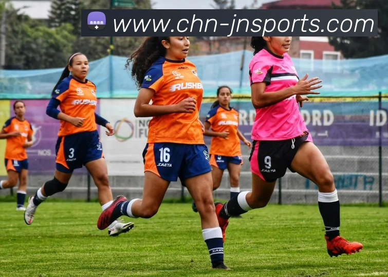 体育下注品牌故事