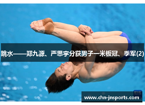 跳水——郑九源、严思宇分获男子一米板冠、季军(2)